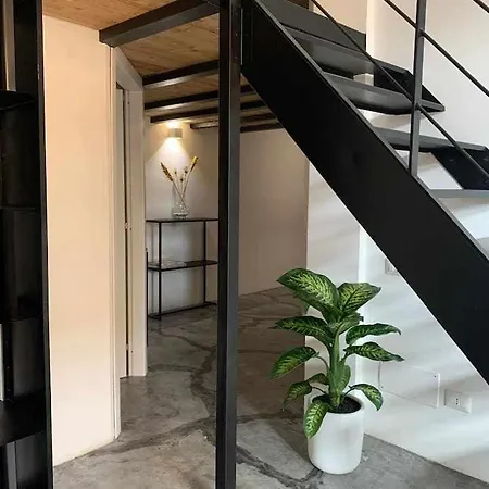 My Exclusive Cavour Loft Da Sogno A Appartamento